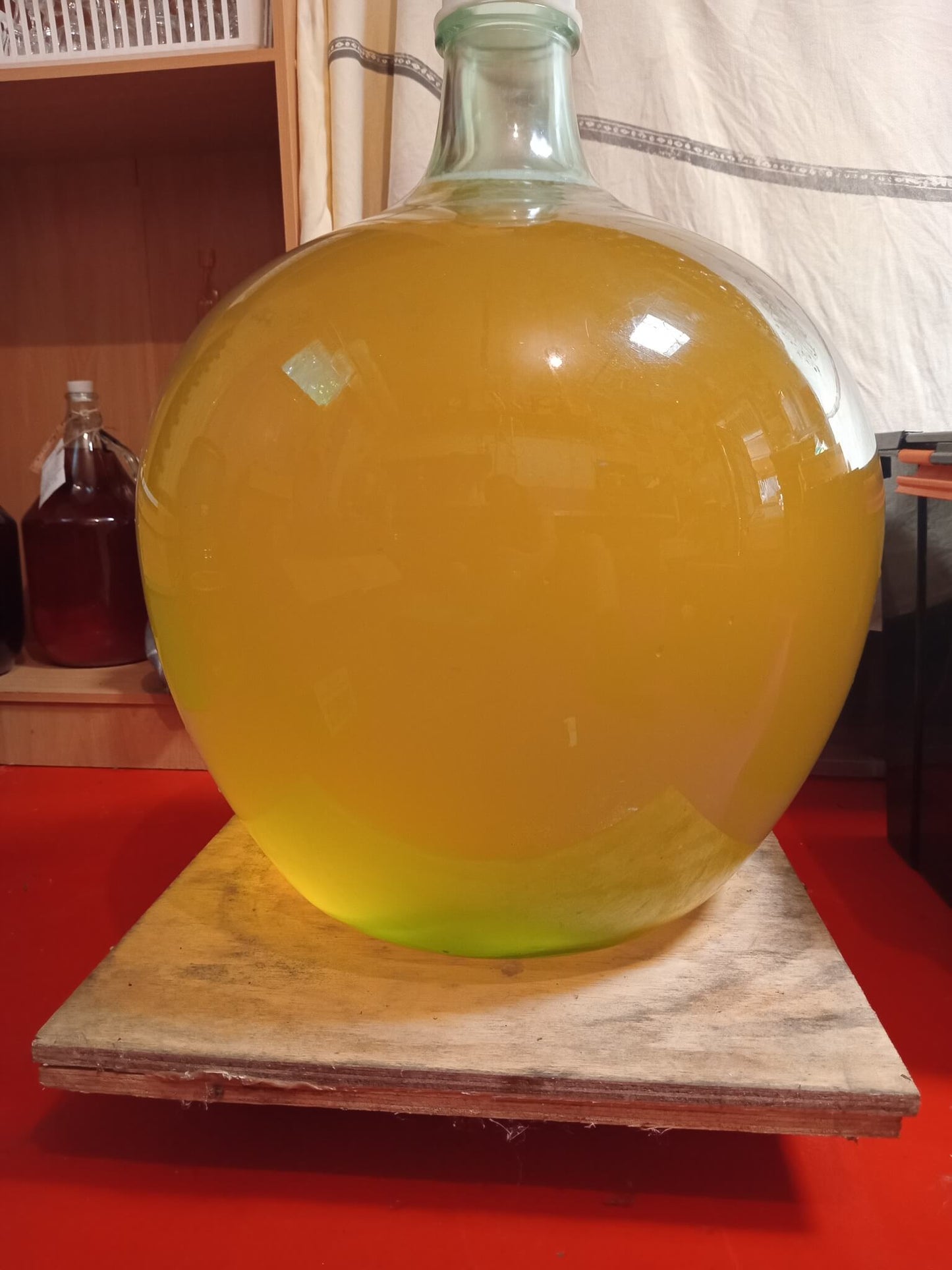 Golden Passion ~ 2025