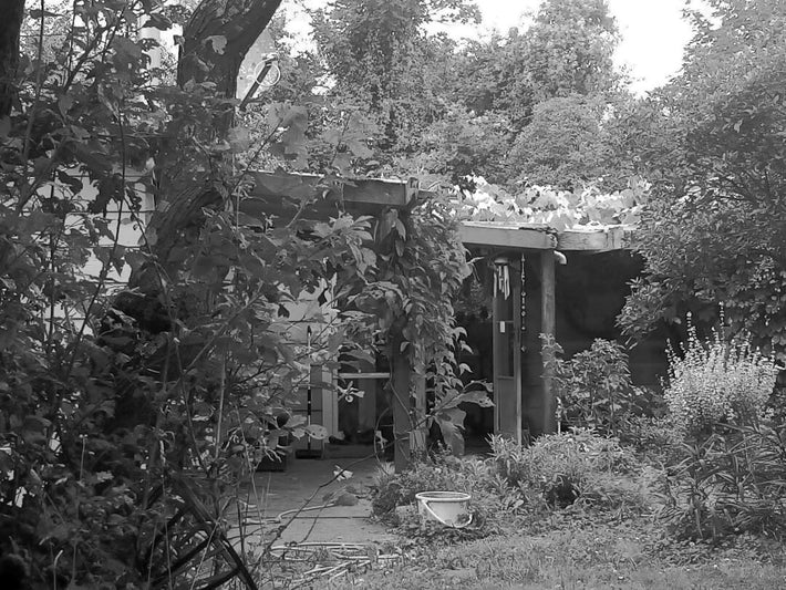 Catalyst Fruit Wines